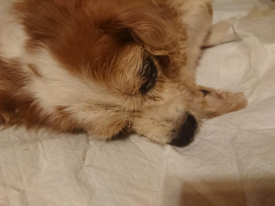 f:id:roukenhome-ann:20190821073945j:plain
