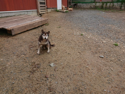 f:id:roukenhome-ann:20190821073959j:plain