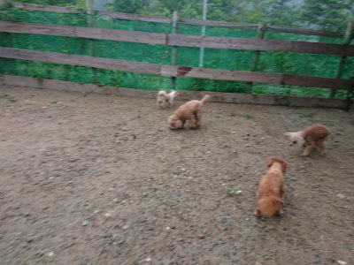 f:id:roukenhome-ann:20190821074148j:plain
