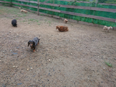 f:id:roukenhome-ann:20190821074210j:plain