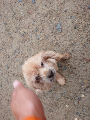 f:id:roukenhome-ann:20190821074745j:plain
