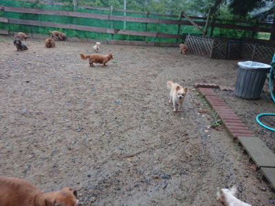 f:id:roukenhome-ann:20190821074820j:plain