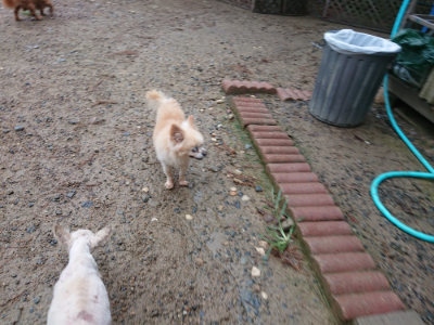 f:id:roukenhome-ann:20190821074826j:plain