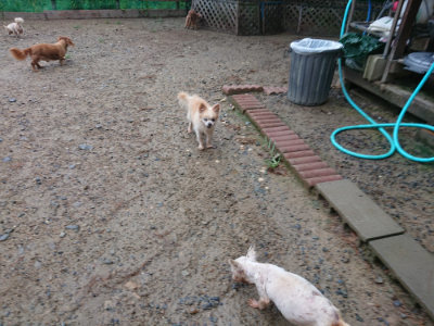 f:id:roukenhome-ann:20190821074853j:plain