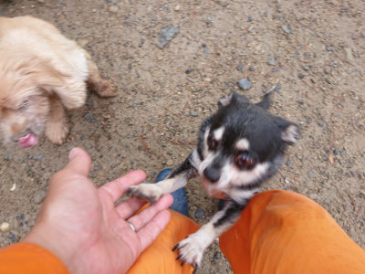 f:id:roukenhome-ann:20190821074912j:plain