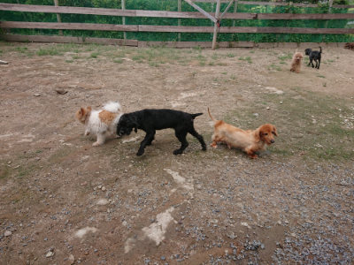 f:id:roukenhome-ann:20190821145407j:plain