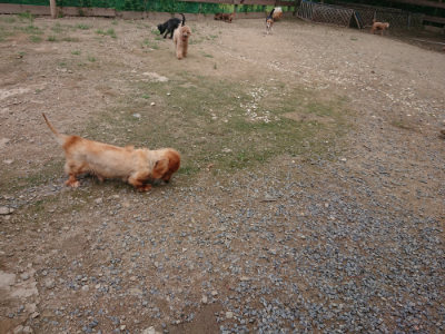 f:id:roukenhome-ann:20190821145415j:plain