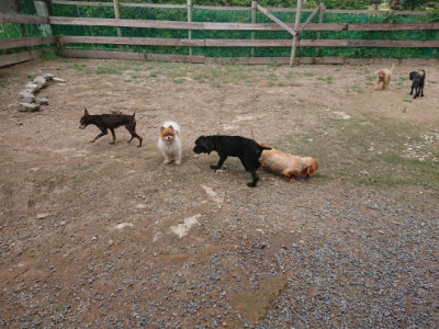 f:id:roukenhome-ann:20190821145434j:plain