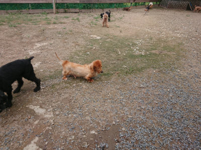 f:id:roukenhome-ann:20190821145450j:plain