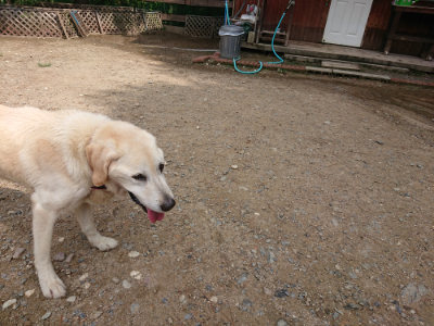 f:id:roukenhome-ann:20190821145548j:plain