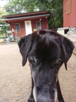 f:id:roukenhome-ann:20190821145609j:plain
