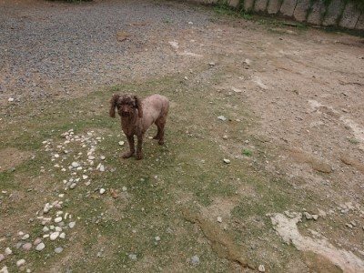 f:id:roukenhome-ann:20190821145646j:plain