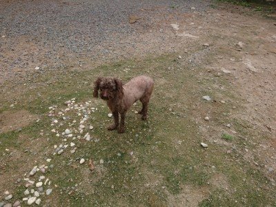 f:id:roukenhome-ann:20190821145652j:plain