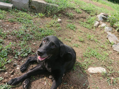 f:id:roukenhome-ann:20190821150318j:plain
