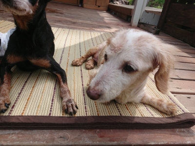 f:id:roukenhome-ann:20190821150324j:plain