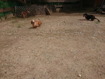 f:id:roukenhome-ann:20190821150334j:plain