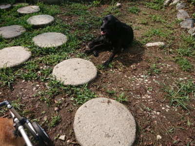 f:id:roukenhome-ann:20190821150407j:plain