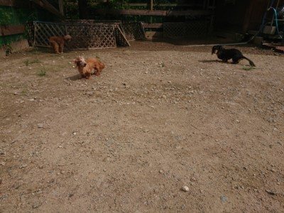 f:id:roukenhome-ann:20190821150421j:plain
