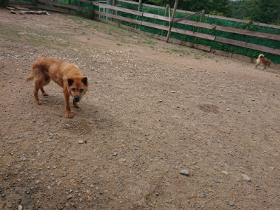 f:id:roukenhome-ann:20190821151742j:plain
