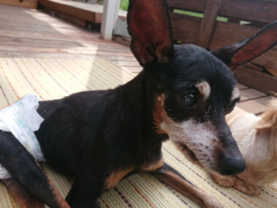 f:id:roukenhome-ann:20190821152241j:plain