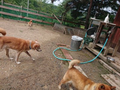 f:id:roukenhome-ann:20190821152422j:plain