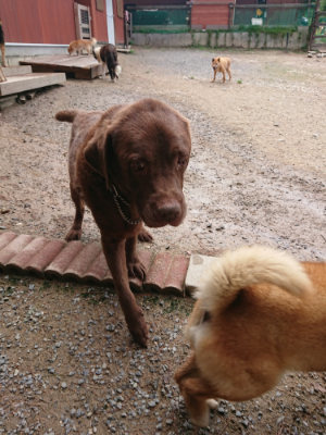 f:id:roukenhome-ann:20190821174437j:plain