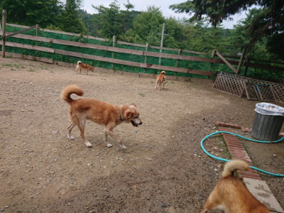 f:id:roukenhome-ann:20190821174539j:plain