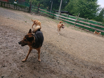 f:id:roukenhome-ann:20190821174622j:plain