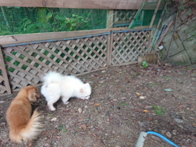 f:id:roukenhome-ann:20190821174628j:plain