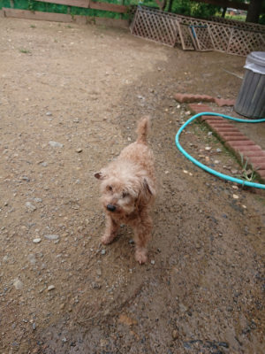 f:id:roukenhome-ann:20190821174646j:plain