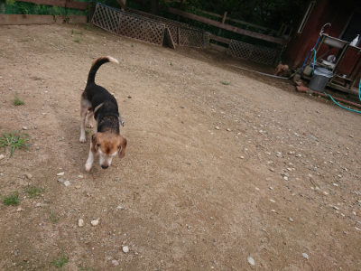 f:id:roukenhome-ann:20190821174834j:plain
