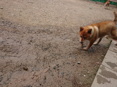f:id:roukenhome-ann:20190821174848j:plain