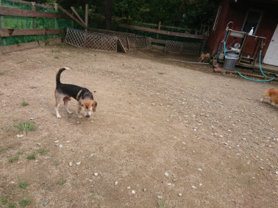 f:id:roukenhome-ann:20190821174933j:plain