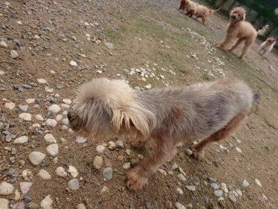 f:id:roukenhome-ann:20190821180249j:plain