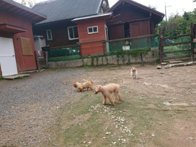 f:id:roukenhome-ann:20190821180256j:plain