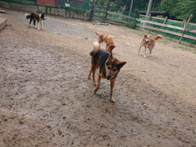 f:id:roukenhome-ann:20190821180341j:plain