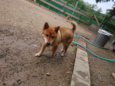 f:id:roukenhome-ann:20190821180358j:plain