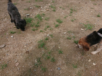 f:id:roukenhome-ann:20190821180406j:plain