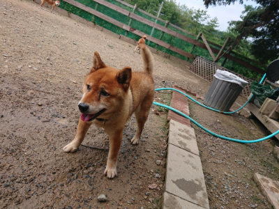 f:id:roukenhome-ann:20190821180422j:plain
