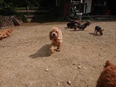 f:id:roukenhome-ann:20190821180614j:plain