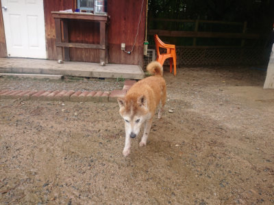 f:id:roukenhome-ann:20190821180619j:plain