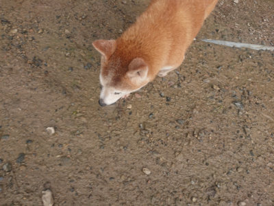 f:id:roukenhome-ann:20190821180832j:plain