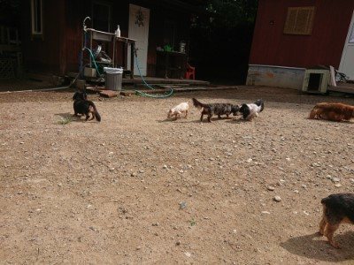f:id:roukenhome-ann:20190821180848j:plain