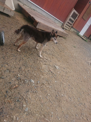 f:id:roukenhome-ann:20190821180944j:plain