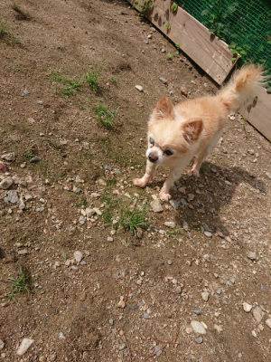 f:id:roukenhome-ann:20190821181016j:plain