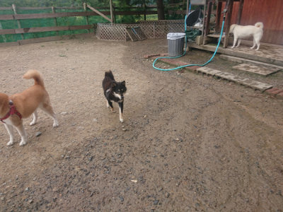 f:id:roukenhome-ann:20190821181021j:plain