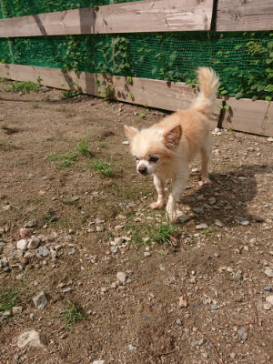 f:id:roukenhome-ann:20190821181038j:plain