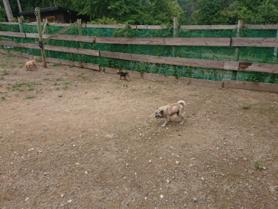 f:id:roukenhome-ann:20190821181103j:plain