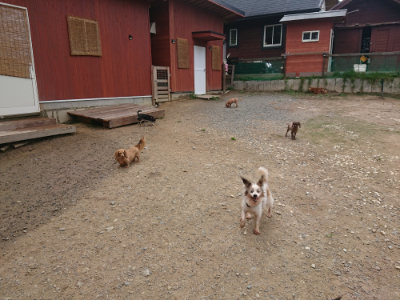 f:id:roukenhome-ann:20190821181117j:plain