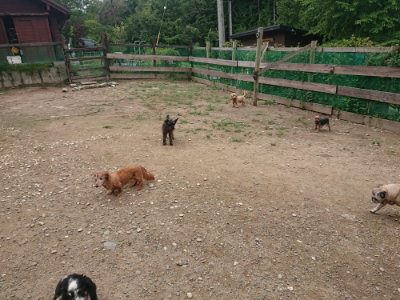 f:id:roukenhome-ann:20190821181123j:plain
